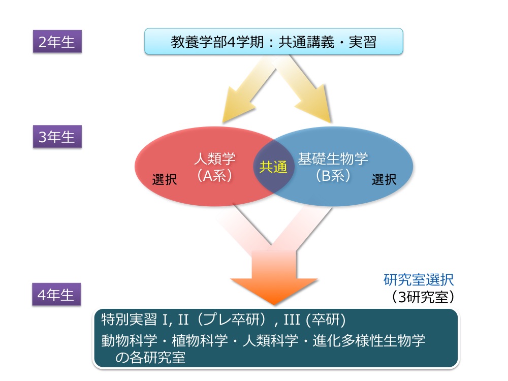 日本东京大学生物学科的专业设置是怎样的？